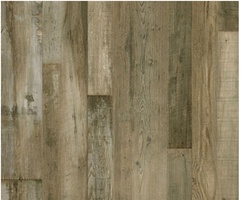 Everstill Forest Lite