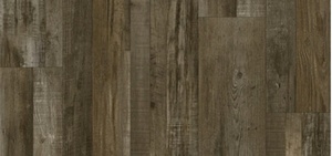 Petrified Forest Lite